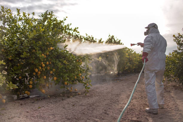 Best Bed Bug Extermination  in Clearlake, CA