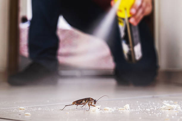 Best Best Pest Control Companies  in Clearlake, CA