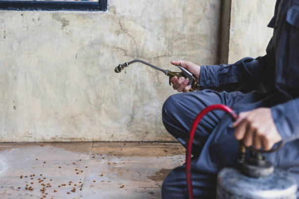Best Pest Inspection Near Me  in Clearlake, CA